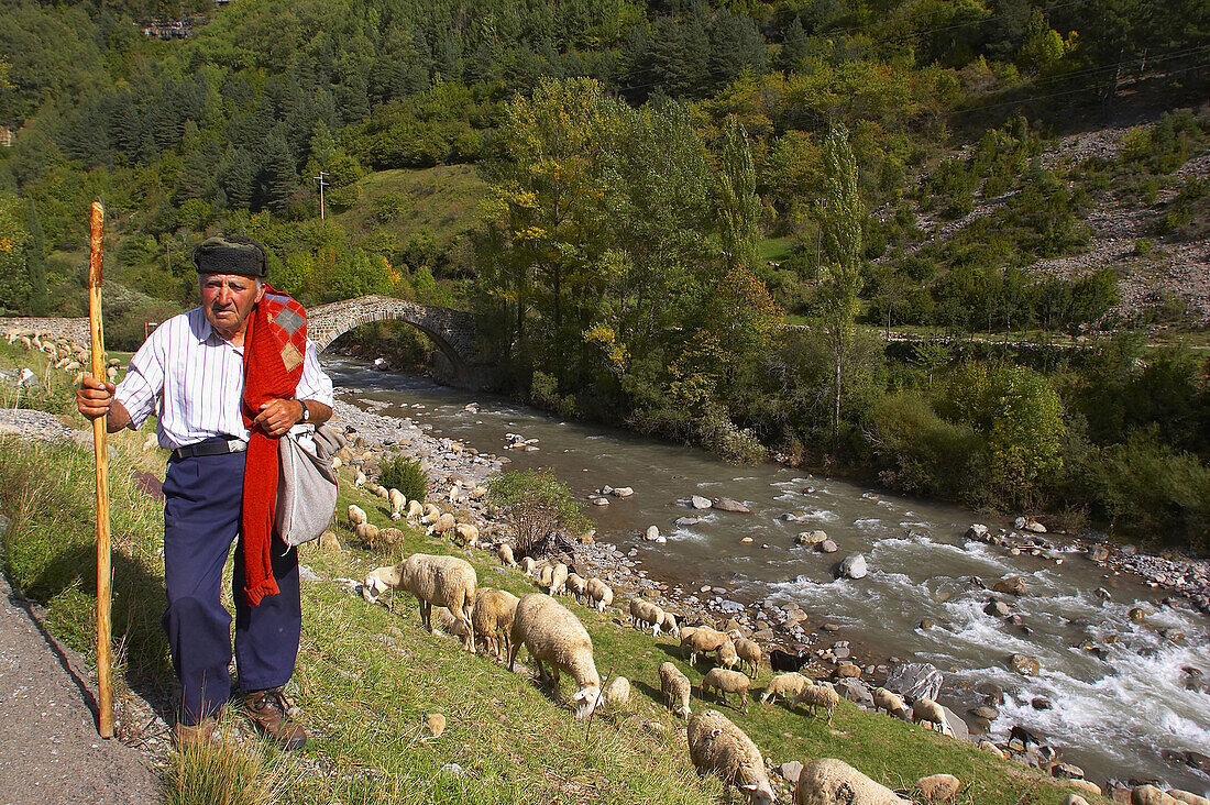 Landsape with Roman bridge, Shepherd and sheep near the village of Canfranc, Puerto de Somport, Huesca, Aragon, Spain