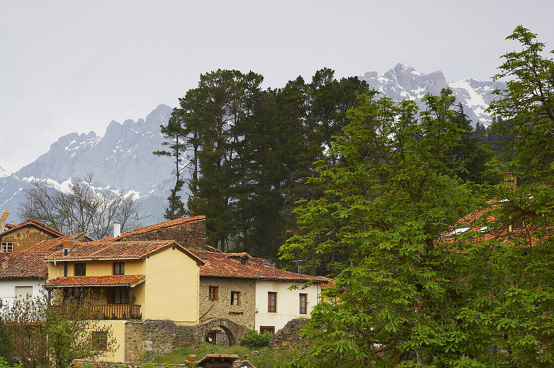 Typische Häuser in Potes, Liébana, Kantabrien, Picos de Europa, im Kantabrische Gebirge, Cordillera Cantábrica, Kantabrien, Spanien
