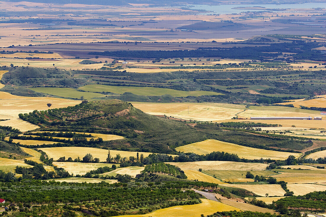 Landscape early in summer with cornfields, near Loarre, Aragon, Spain
