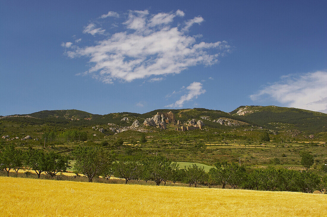 Castle, Castillo de Loarre, early in summer with cornfields and landscape, Loarre, Aragon, Spain