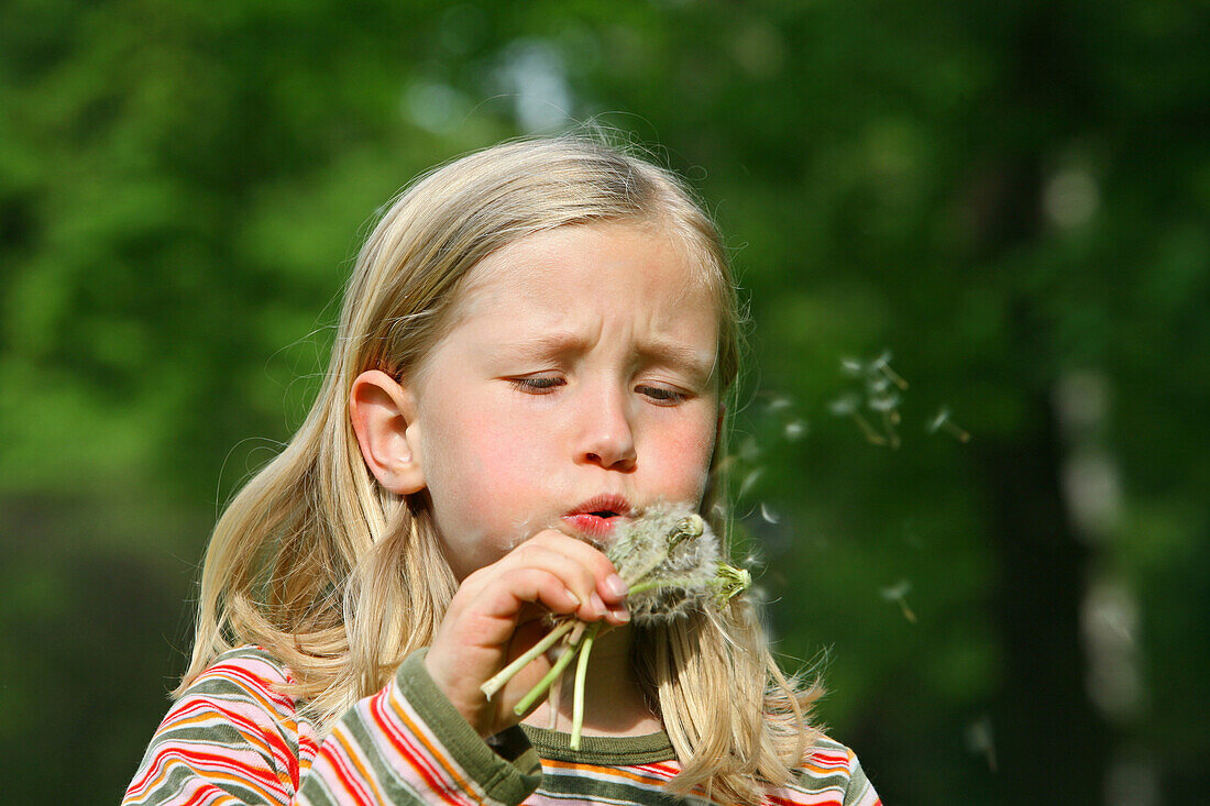 Girl (8-9 years) holding blowballs