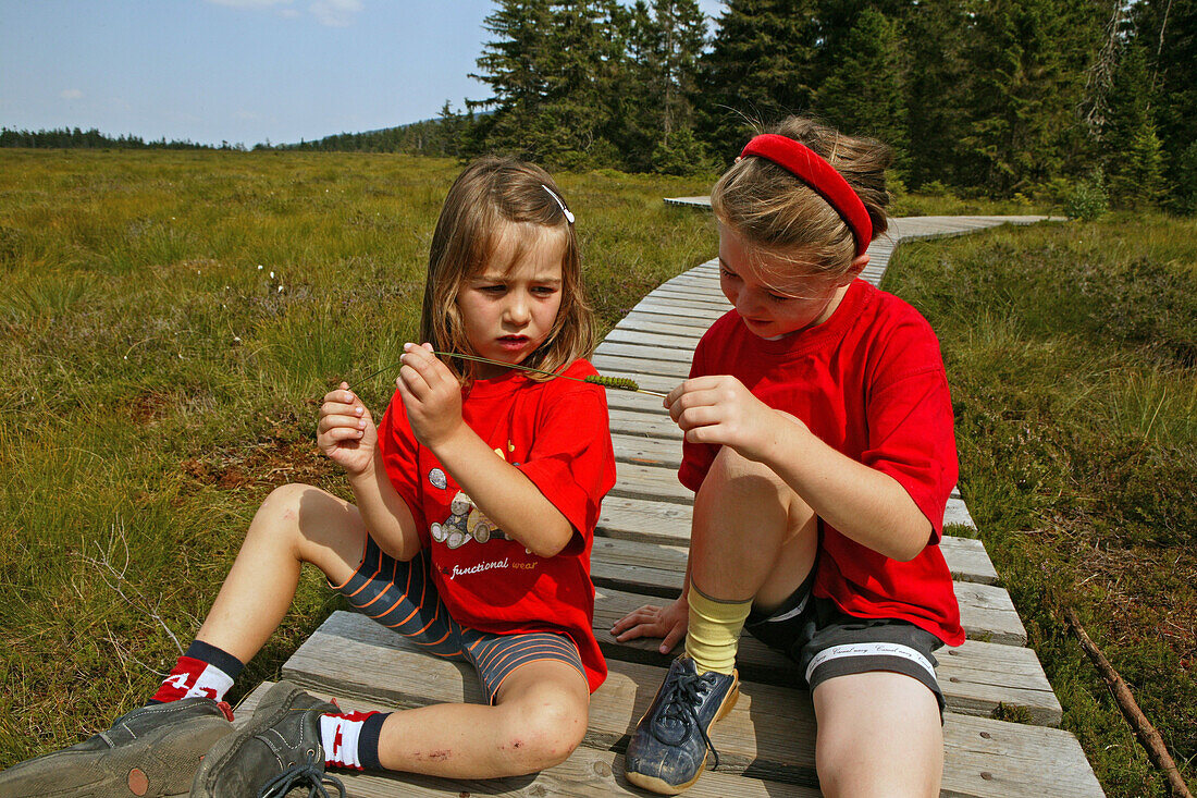 Girls observing caterpillar, insect, boardwalk, high moor, Harz Mountains, Lower Saxony, northern Germany
