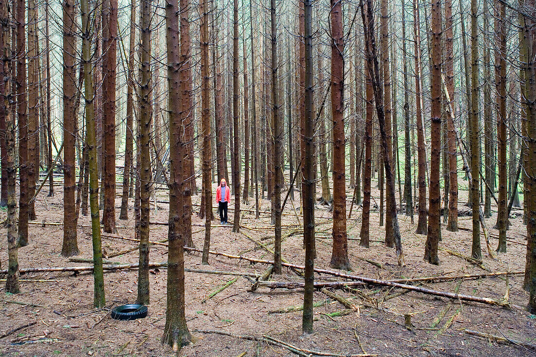 Man standing in coniferous forest, Eifel, Germany