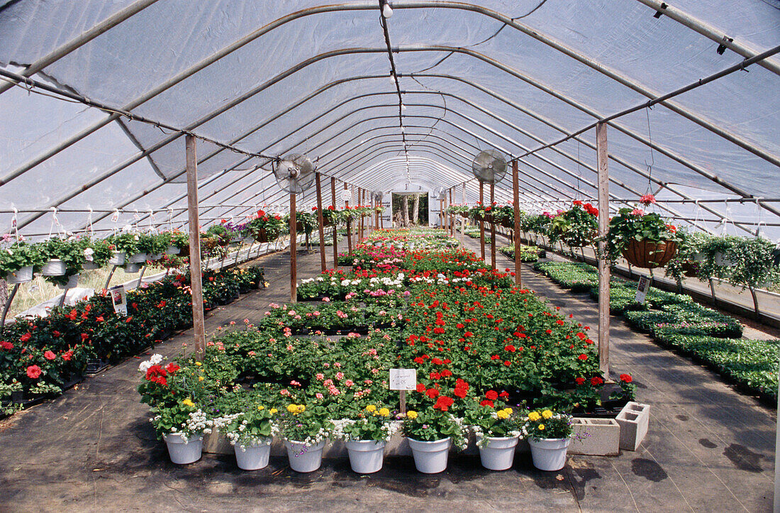 Roadside produce and flower market near Denton, Maryland. USA.
