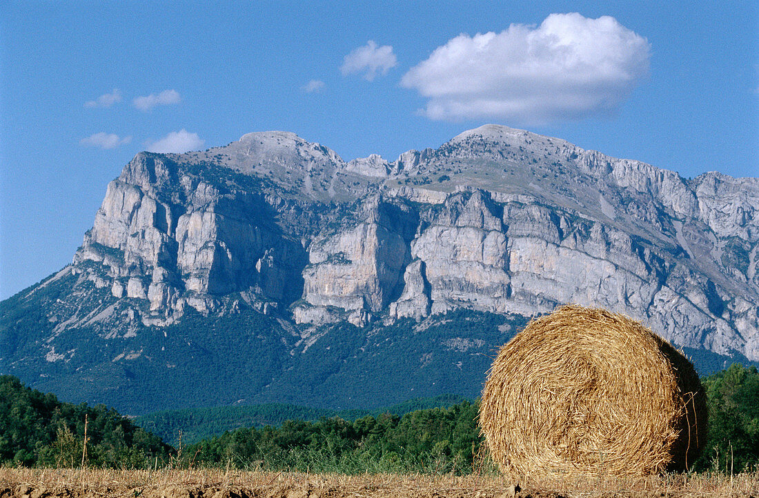 Straw roll on field in summer with pre-Pyrenees mountains in background. Aragón, Spain