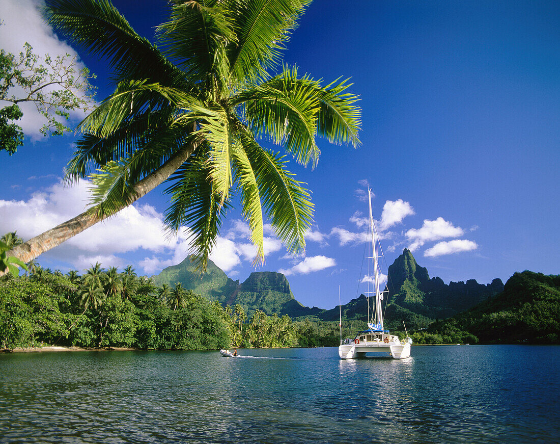 Opunohu Bay. Moorea Island. French Polynesia