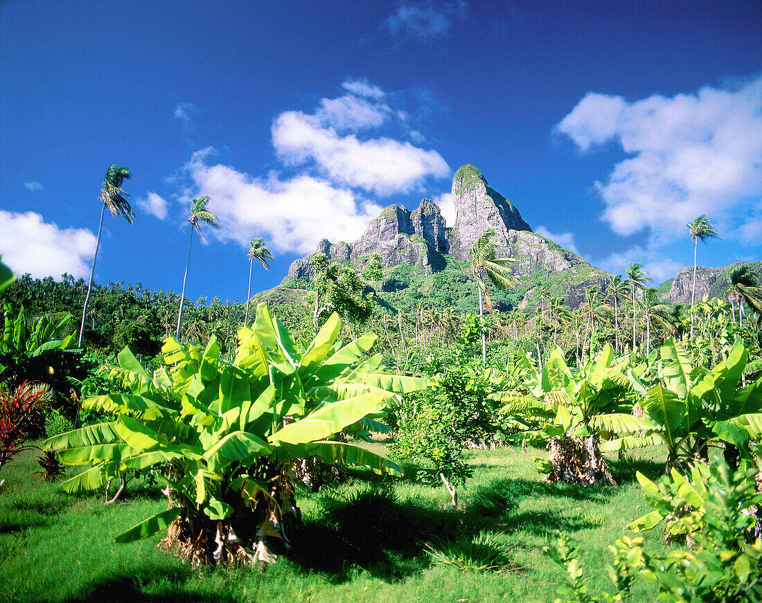 Mount Otemanu. Bora Bora. French Polynesia