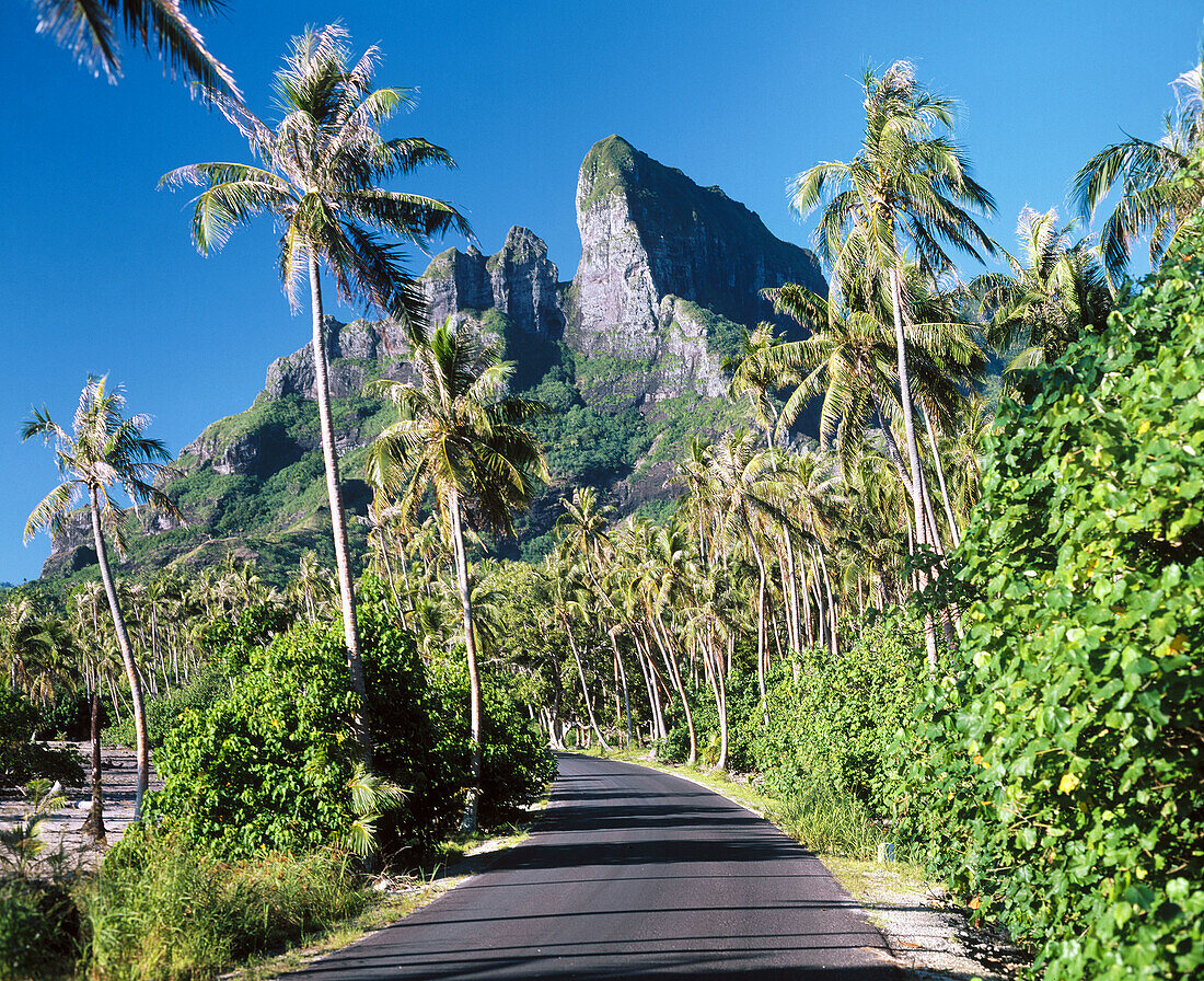Road. Bora Bora. French Polynesia