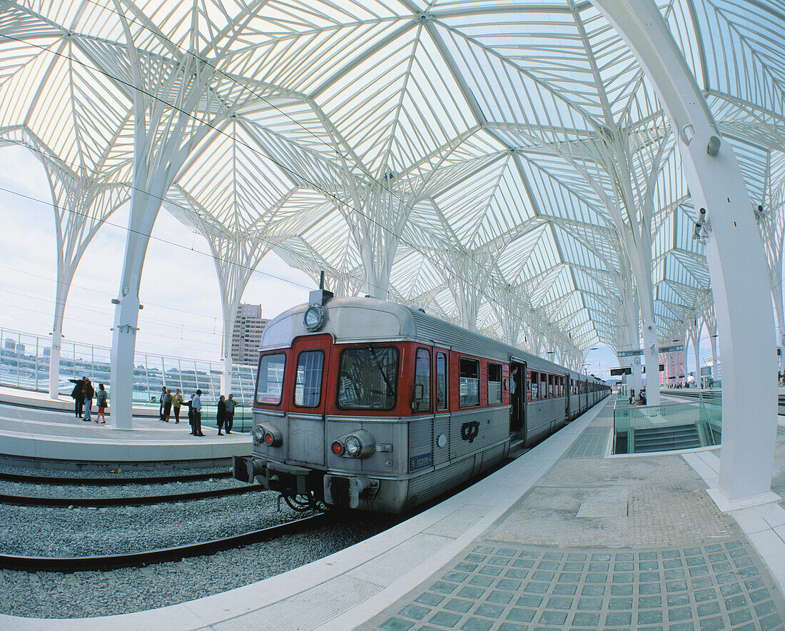 Train and bus station, by S. Calatrava. Lisbon. Portugal