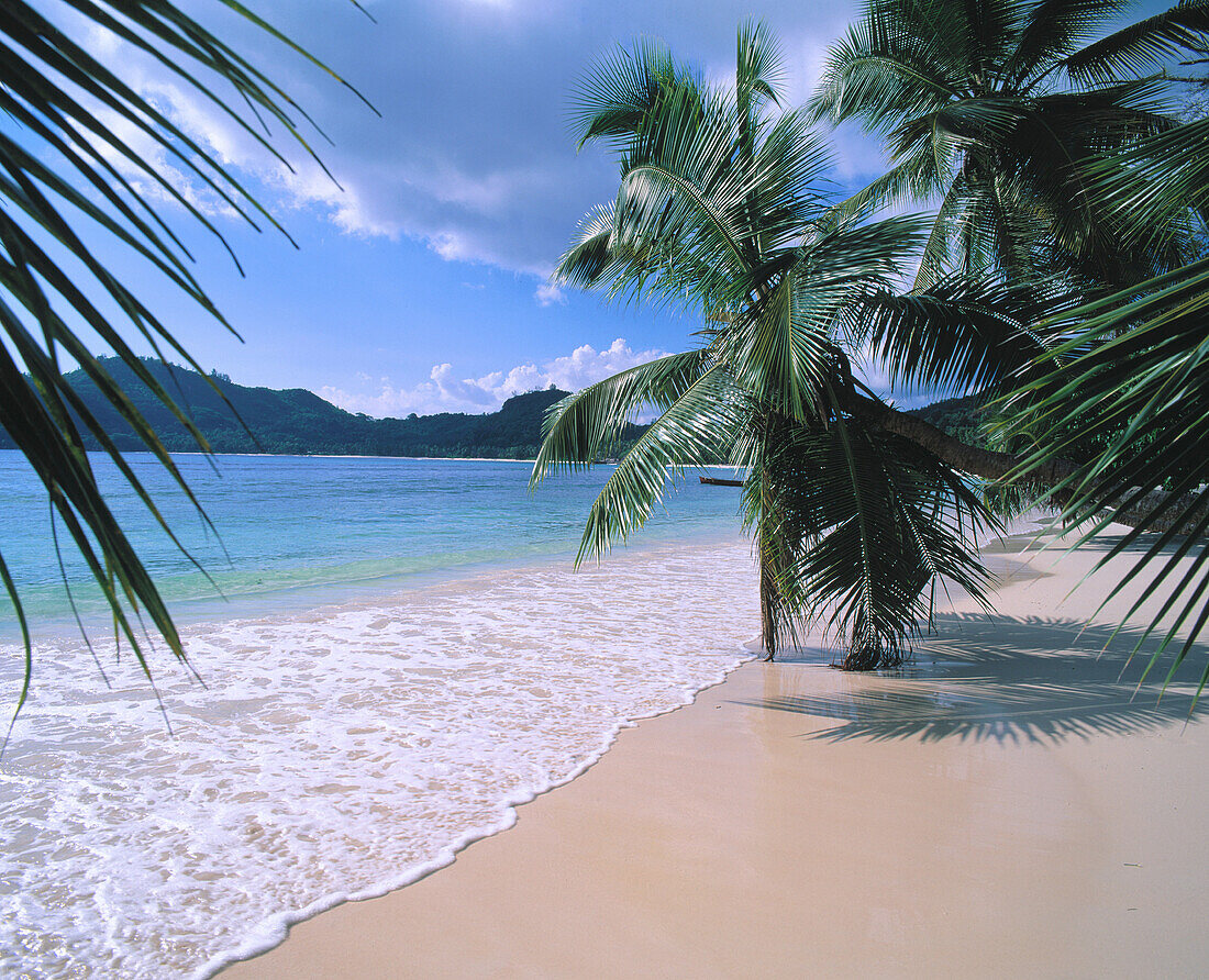 Grande Anse beach. Mahe Island. Seychelles