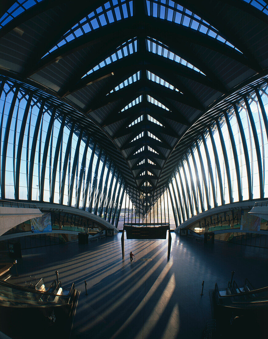 Satolas Airport rail station, by Santiago Calatrava. Lyon. France