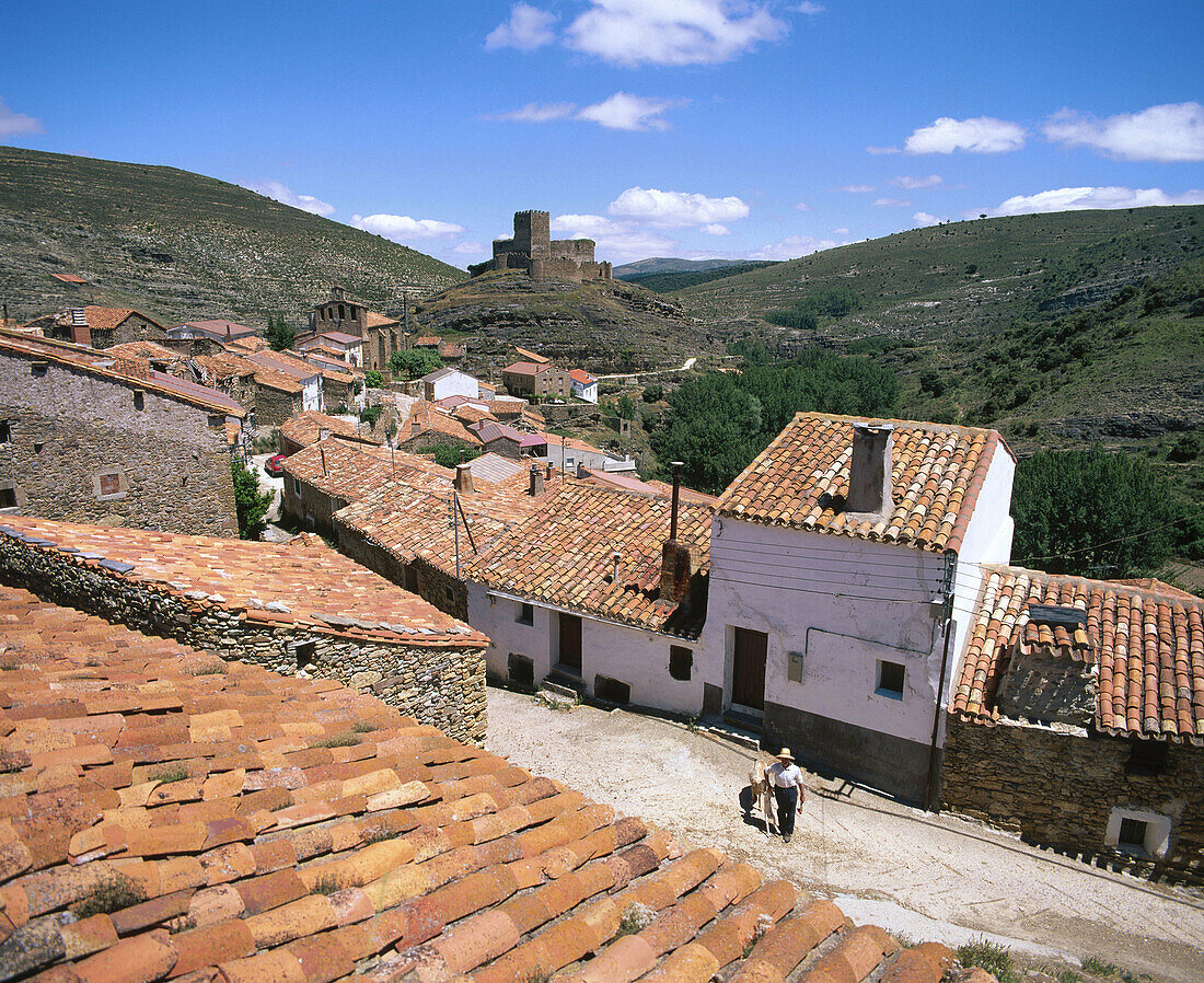 Magaña. Soria province. Spain