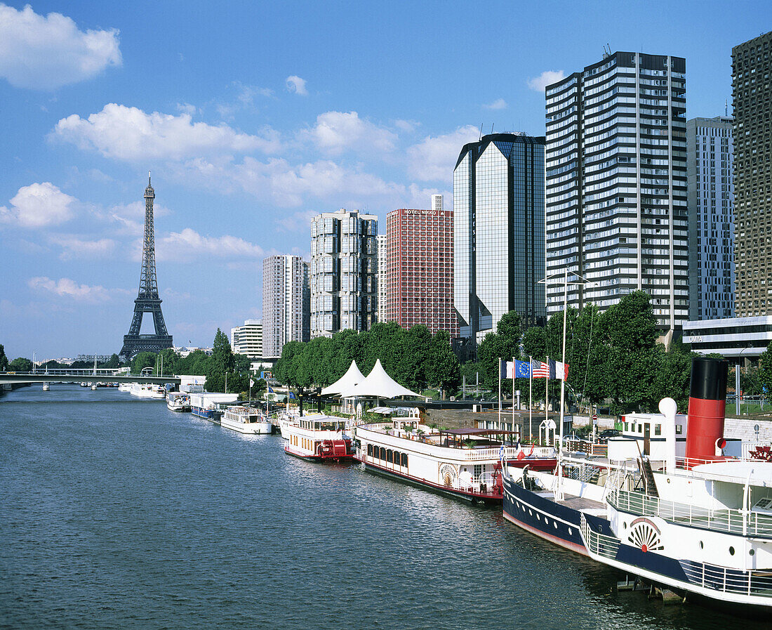 Seine River and Eiffel Tower. Paris. France