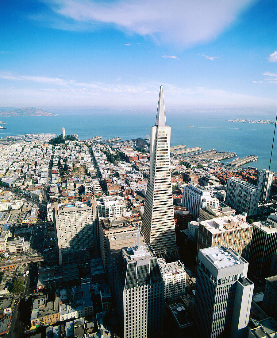 Transamerica Pyramid. San Francisco. California. USA