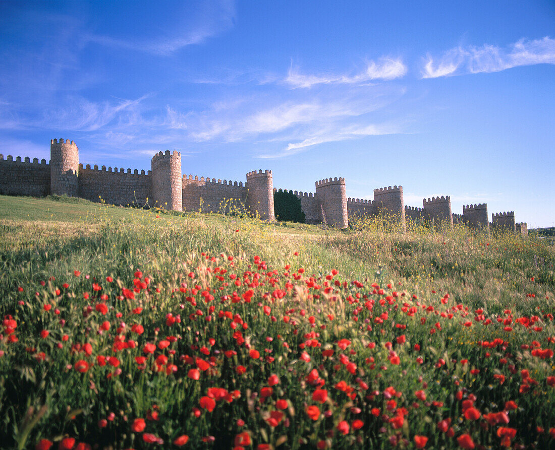 City Walls. Avila. Spain