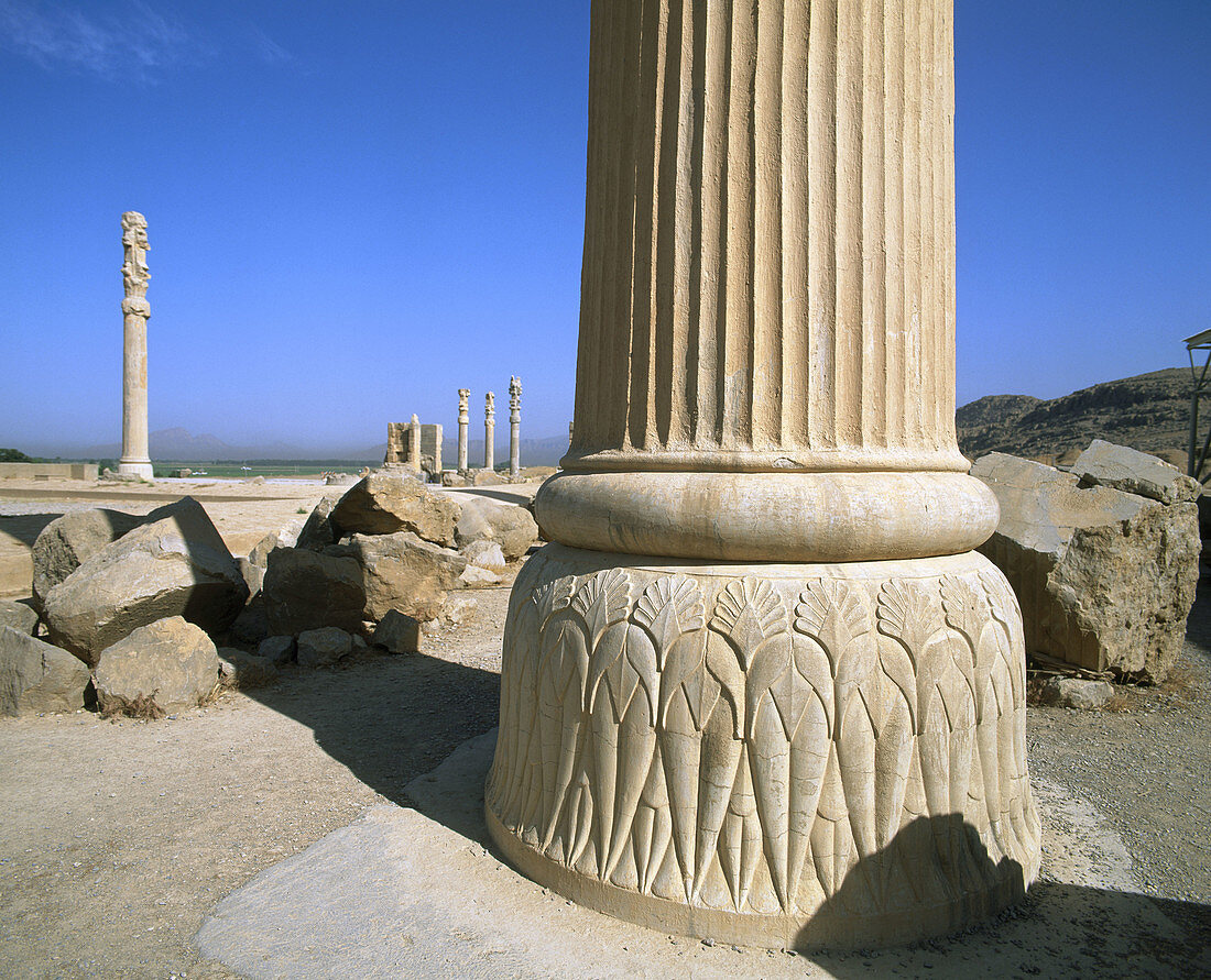 Apadana (columned hall). Persepolis. Iran