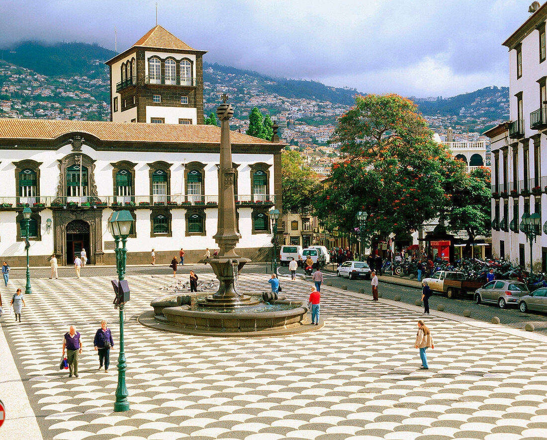 Funchal s City Hall. Madeira Island. Portugal