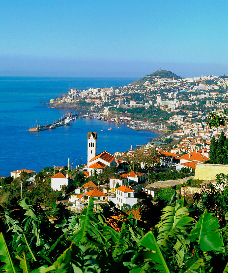 Funchal city in Medeira Island. Portugal