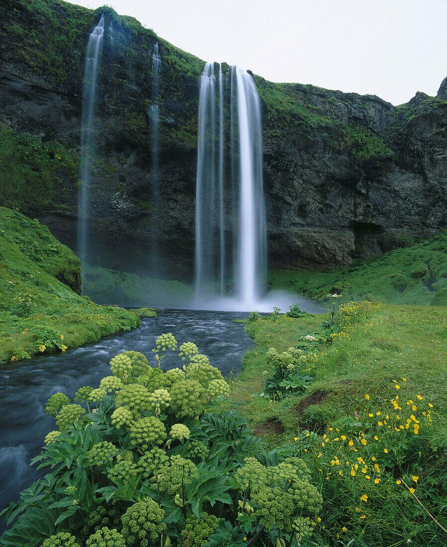 Skogafoss Waterfall. Iceland