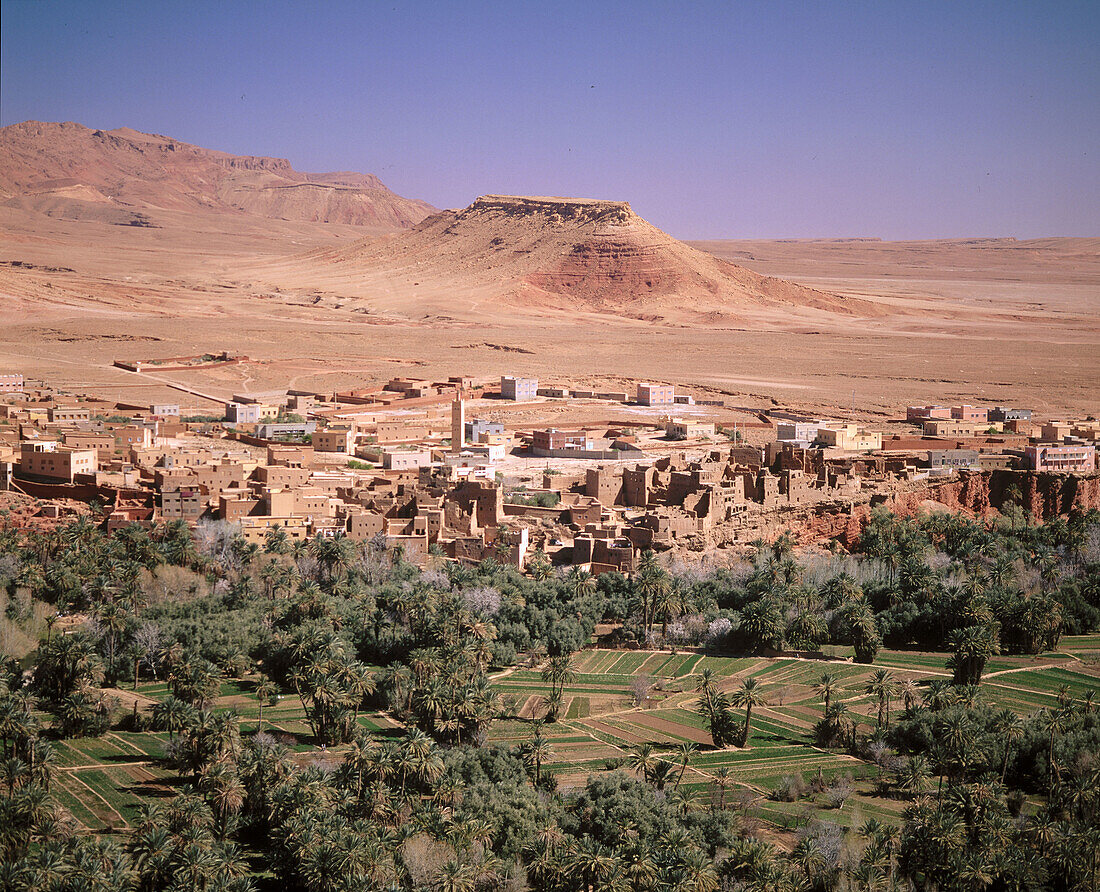 Tinerhir, Todra Valley, High Atlas. Morocco