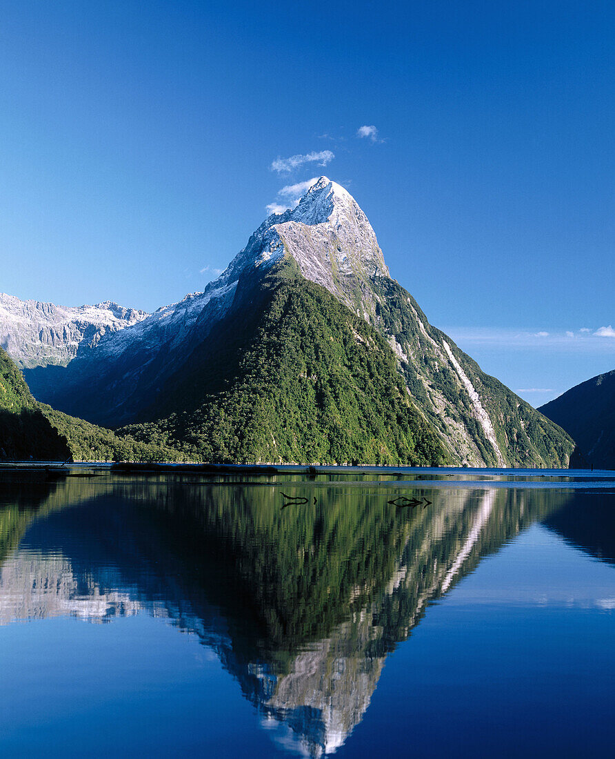 Milford Sound fiord, Fiordland National Park. South Island, New Zealand