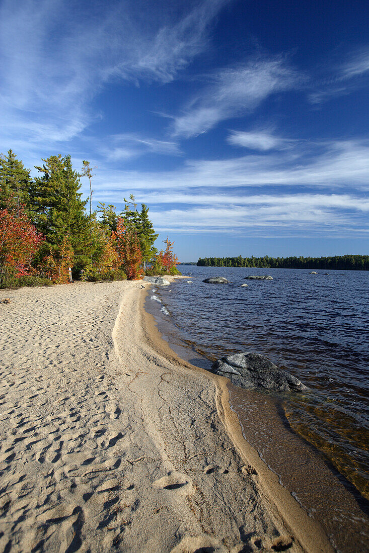 A beach at Lake Millinocket in autumn, Maine, ,USA