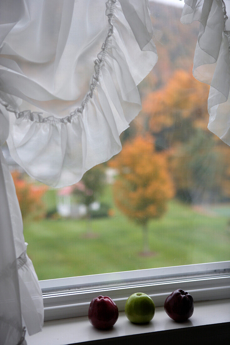 View out of a window of the Balsams Hotel at Dixville Notch, New Hampshire, ,USA