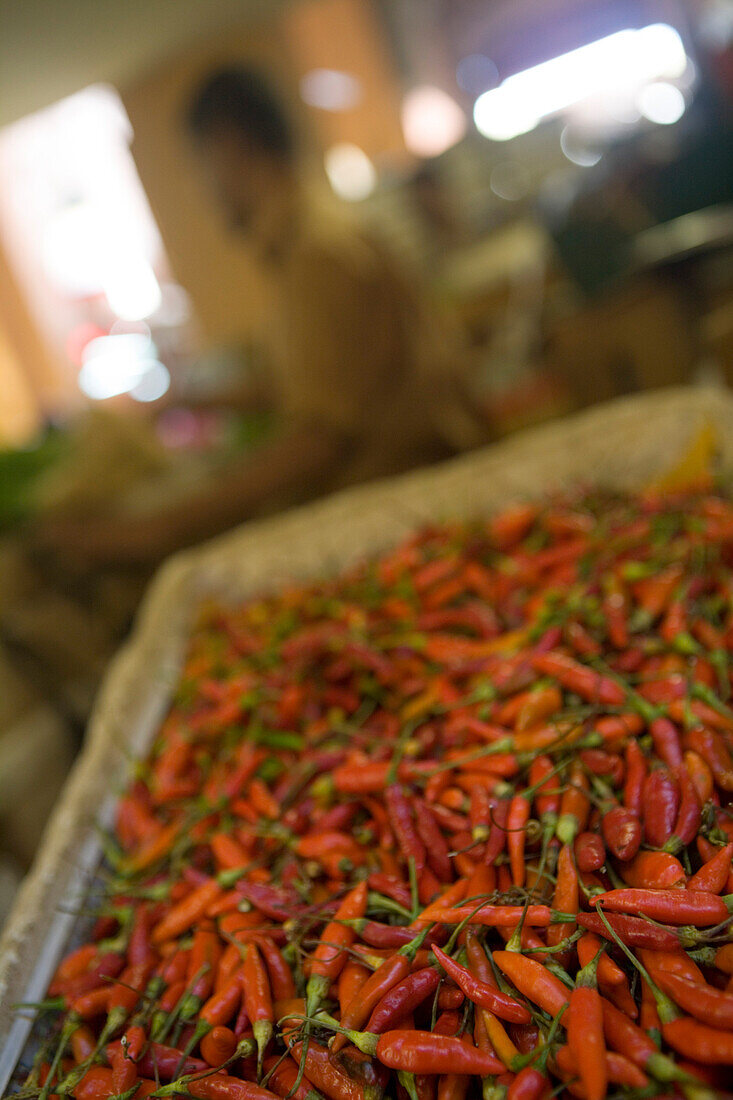 Red Hot Chili Peppers, Port Louis Central Market, Port Louis, Port Louis District, Mauritius