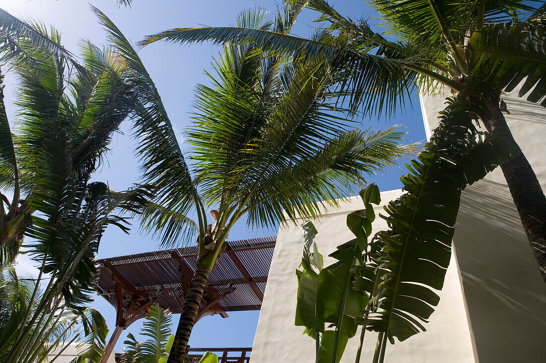 Palmen und Hotelgebäude vom Le Touessrok Resort, nahe Trou d'Eau Douce, Flacq District, Mauritius, Indischer Ozean
