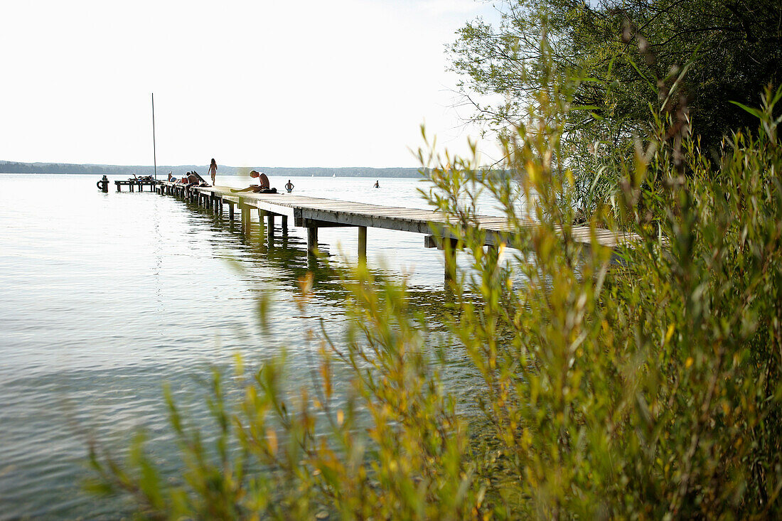 Steg am Starnberger See, Karnifflbach, St. Heinrich, Münsing, Bayern, Deutschland