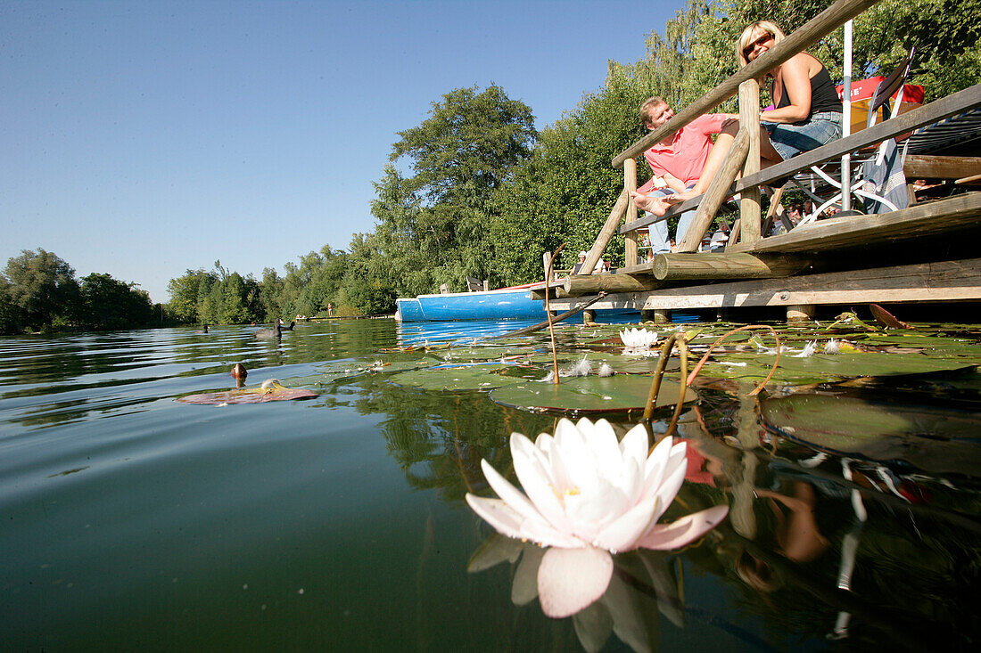 Wasserlilie, Leute im Café, Weßlinger See. Oberbayern, Bayern, Deutschland