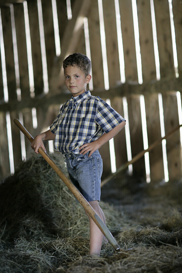 Boy (8-9 years) in hay, Walchstadt, Upper Bavaria, Bavaria, Germany, MR