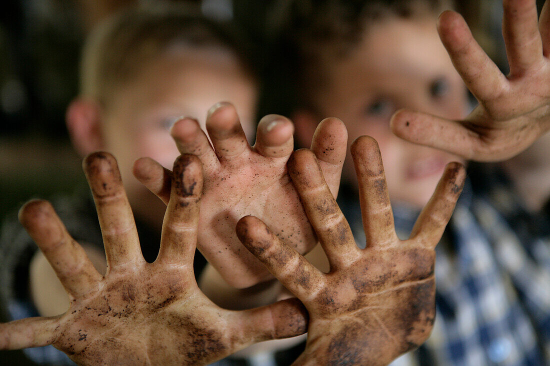 Two boys (8-9 years) showing their dirty hands at camera, Walchstadt, Upper Bavaria, Bavaria, Germany, MR