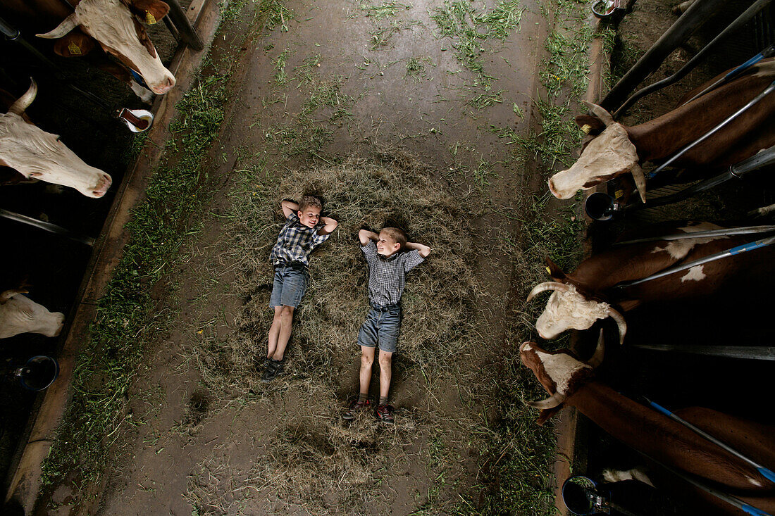 Two boys (8-9 years) lying on haystack in cow barn, Walchstadt, Upper Bavaria, Bavaria, Germany, MR