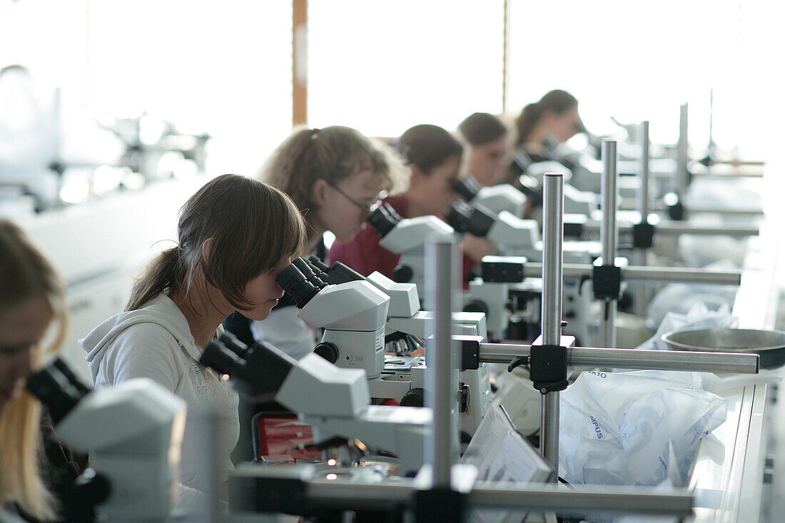 Studenten im zoologischen Anfängerpraktikum, Biozentrum der LMU, Ludwig Maximilians Universität, Martinsried, München, Bayern, Deutschland
