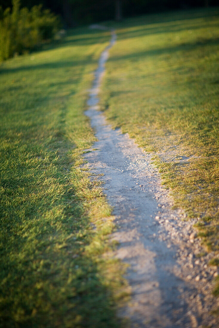 Path in the English Garden, Munich, Bavaria, Germany