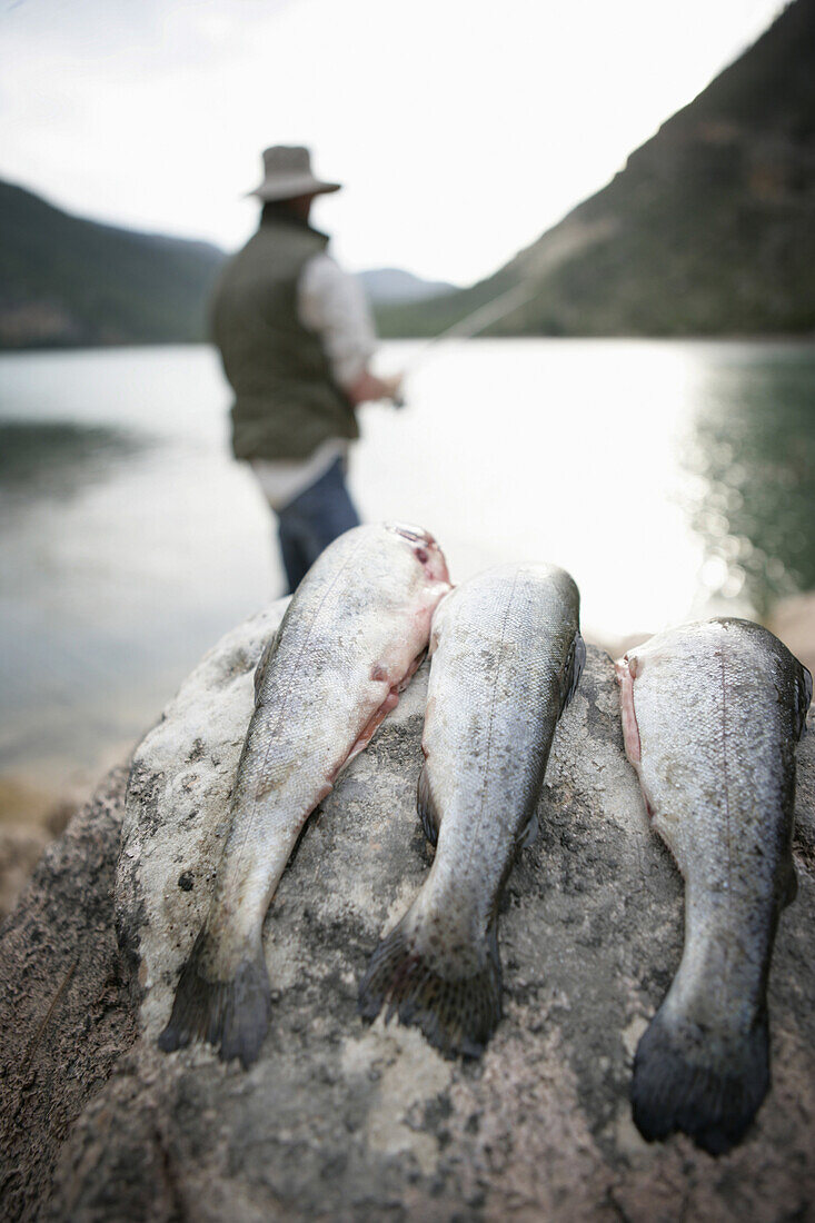 Mann beim Angeln, Fischen, Fische im Vordergrund, See, Bayern, Deutschland, MR