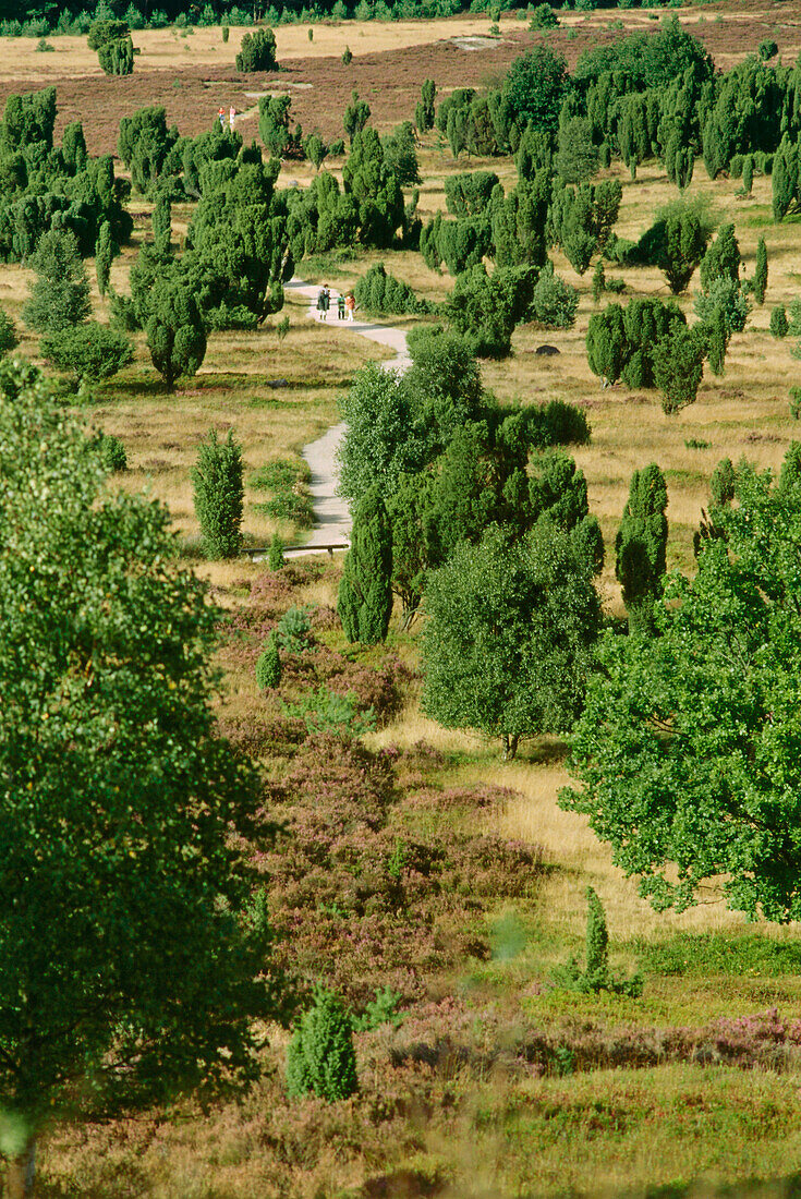 View from Wilsed Mount, Lüneburg Heath, Lower Saxony, Germany