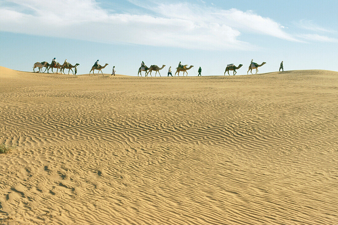 Caravan, People and camels on the horizon, Grand Erg Occidental, Sahara, Algeria, Africa