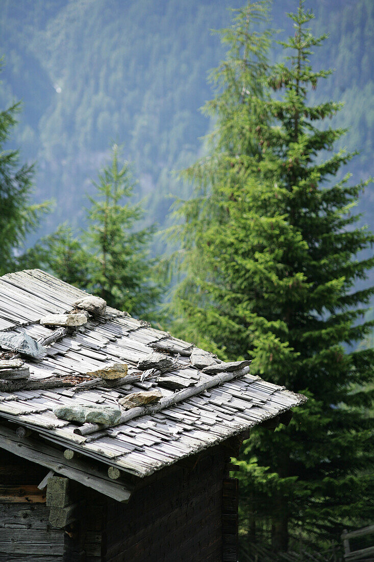 Wooden cabin in against wood and mountains, Hohe Tauern National Park, Carinthia, Austria