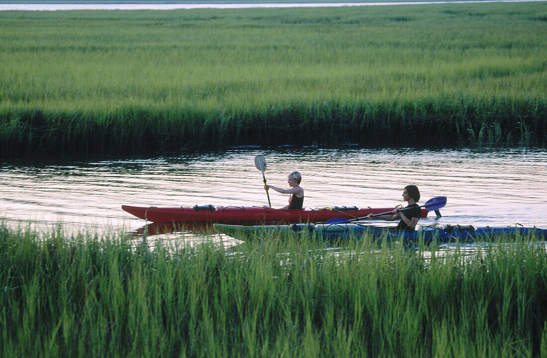 kayaking the Lowcountry of South Carolina
