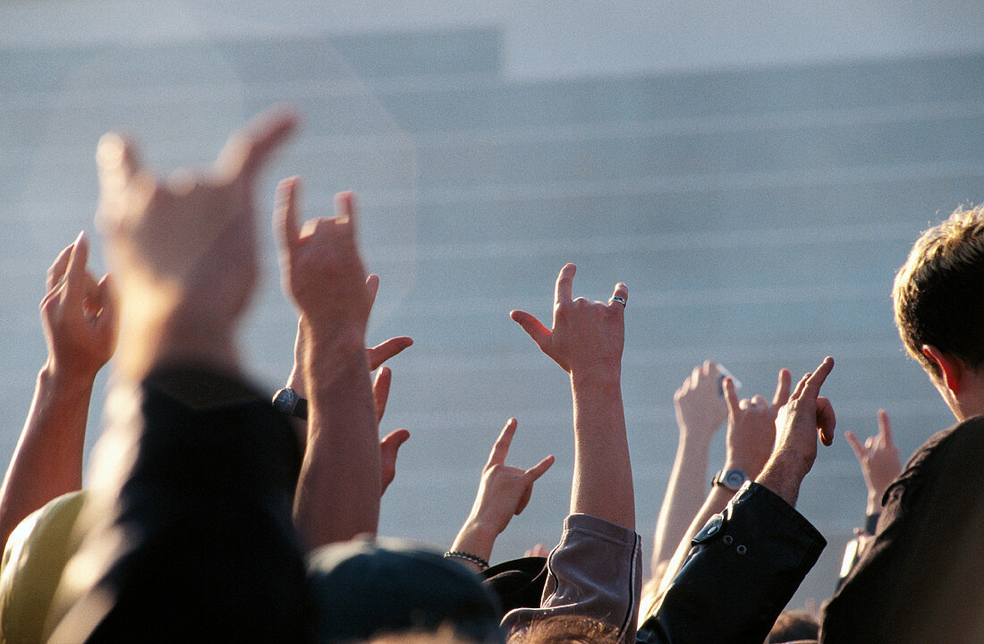 Crowd at rock concert