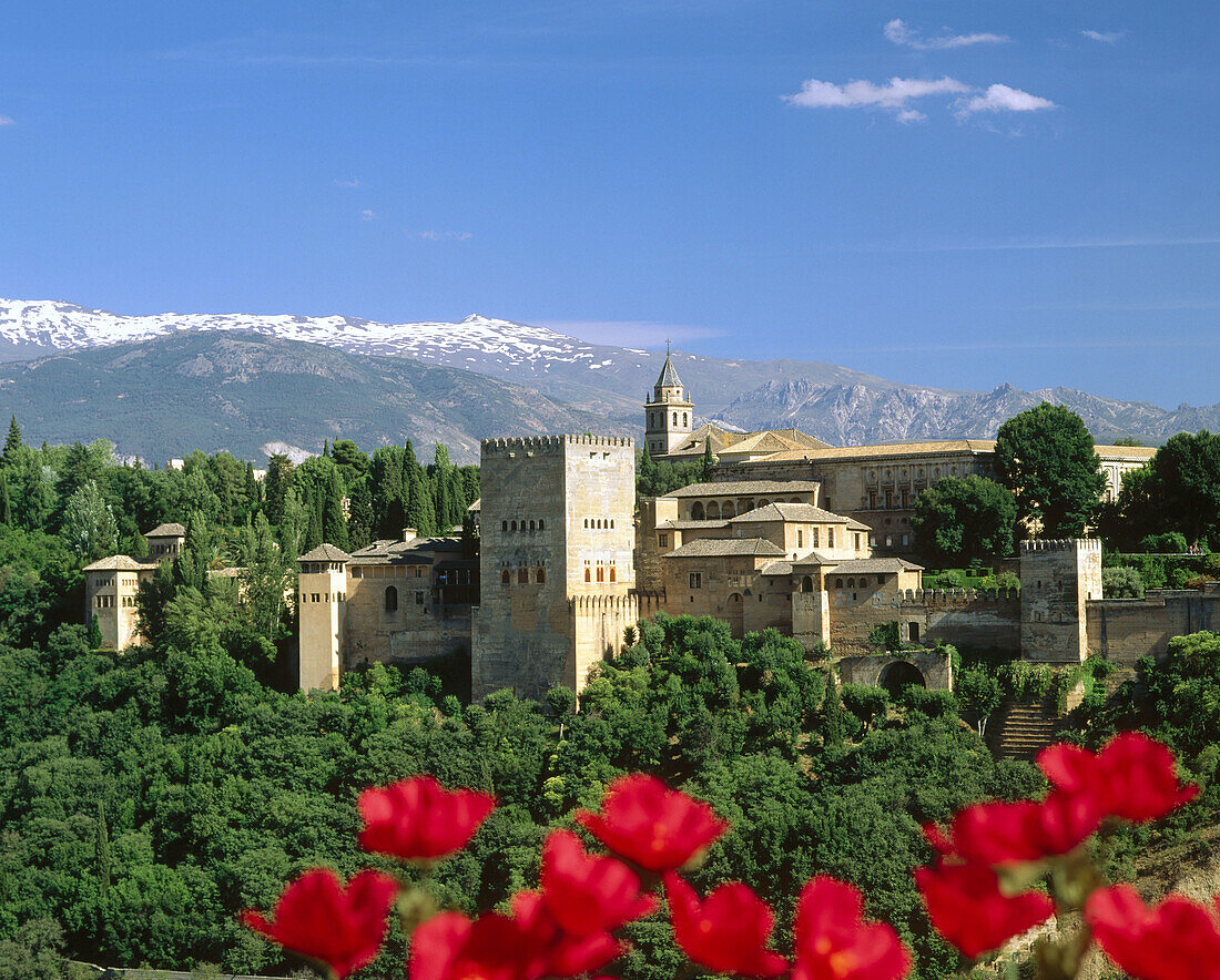 The Alhambra, Sierra Nevada in background. Granada. Andalusia. Spain