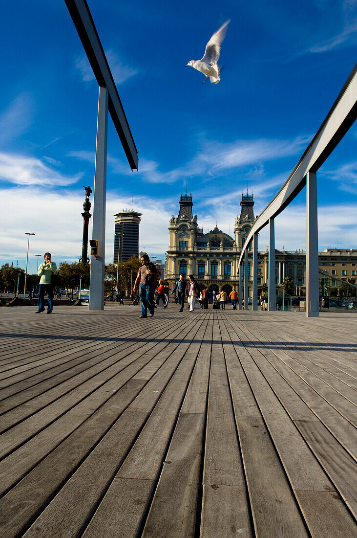 Taube fliegt über Steg, Rambla del Mar, Barcelona, Spanien