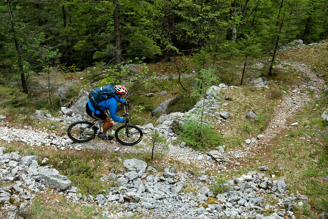 Mountain biker riding downhill, Triglav National Park, Slovenia