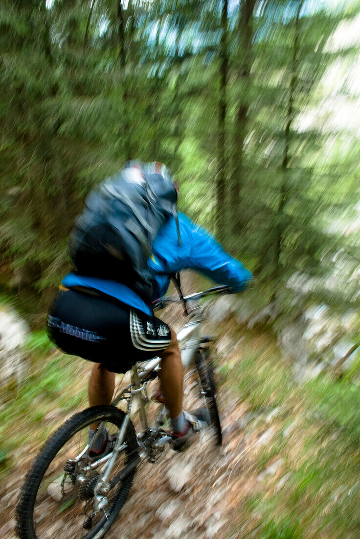 Mountainbiker im Wald, Slowenien