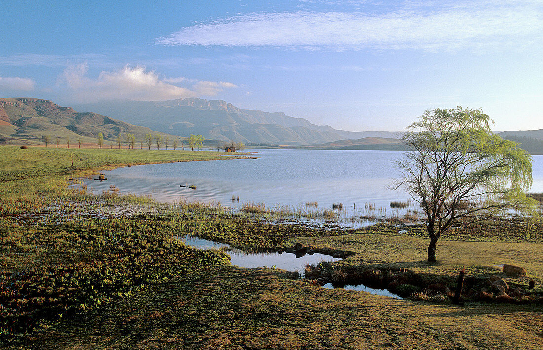 Drakensberg scene, Lifton Lake, Sani Valley Lodge, Underberg, KwaZulu-Natal, South Africa