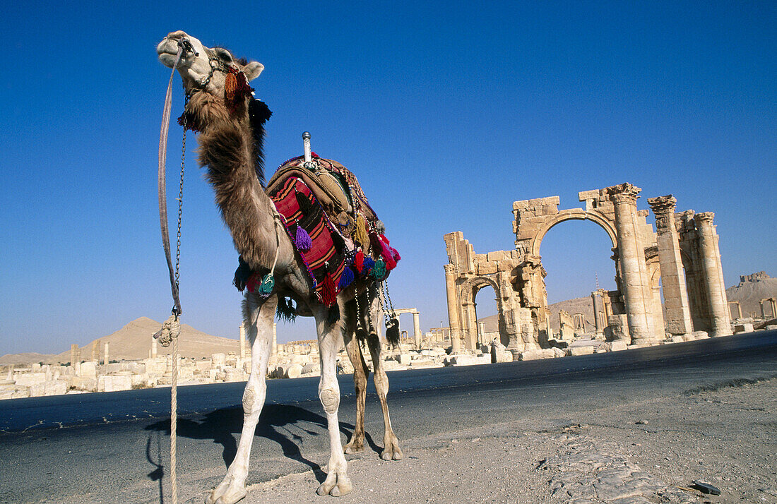 Triumphal arch. Greco-Roman city. Palmyra. Syria