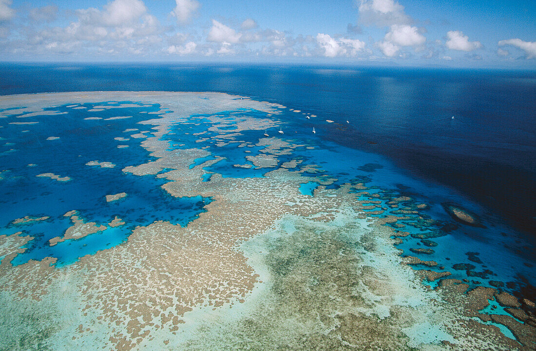 Great Barrier Reef. Australia