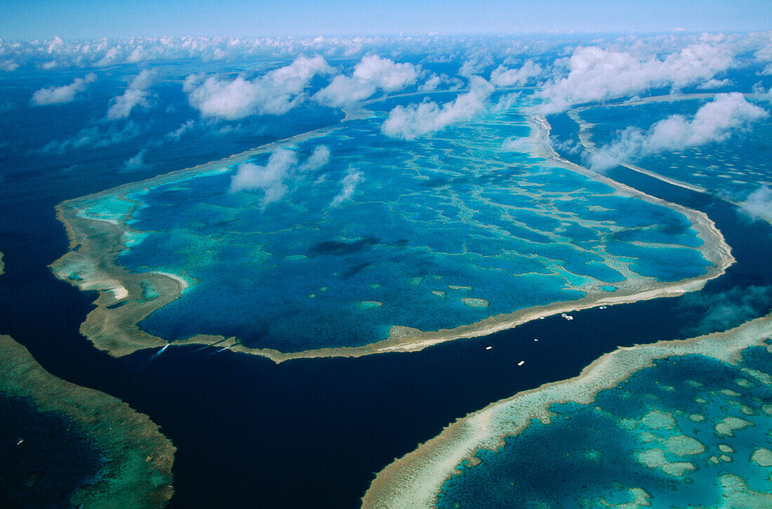 Great Barrier Reef. Australia